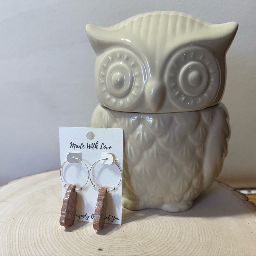 RARE Fossilized Coral & Selenite Sterling Silver Hoop Earrings